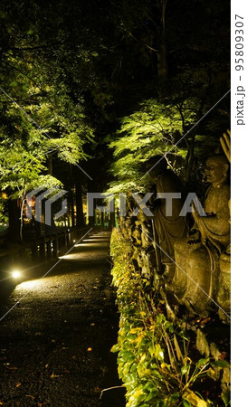 雲辺寺ライトアップ(五百羅漢像)【徳島県三好市・香川県観音寺市】2 雲辺寺ライトアップ(五百羅漢像)【徳島県三好市・香川県観音寺市】2 95809307