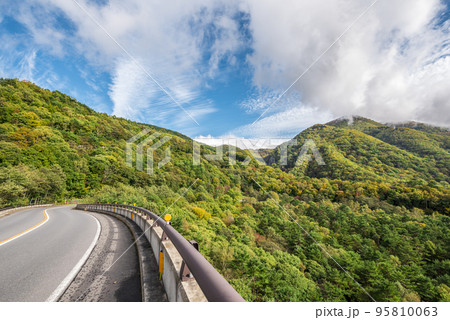 《長野県》紅葉の志賀草津高原ルート　国道292号 95810063