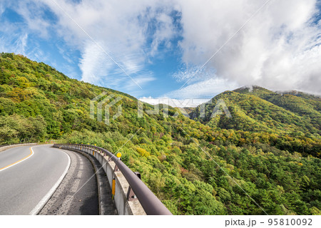 《長野県》紅葉の志賀草津高原ルート 国道292号 《長野県》紅葉の志賀草津高原ルート 国道292号 95810092
