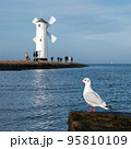 Gull bird resting on breakwater with blured old windmill lighthouse a port in Poland on the Baltic Sea 95810109