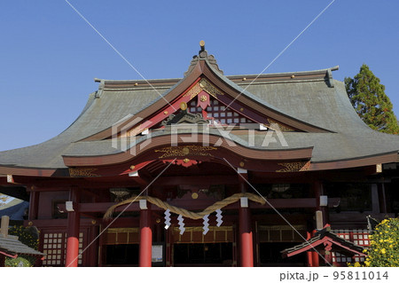 菊まつり期間中の笠間稲荷神社の拝殿 菊まつり期間中の笠間稲荷神社の拝殿 95811014