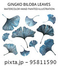 Gingko biloba branche with leaves. Watercolor hand painted illustration isolated on white background. 95811590
