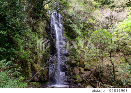 白雲の滝（湯河原） 95811963