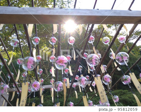 正寿院の風鈴まつり 正寿院の風鈴まつり 95812059