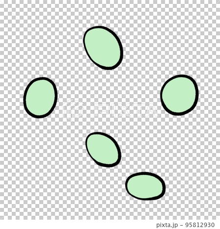 乳酸球菌のイラスト 95812930