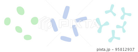 乳酸球菌・乳酸桿菌・ビフィズス菌のイラストセット 95812937