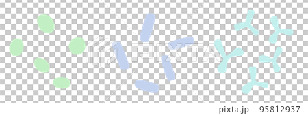 乳球菌、乳桿菌、雙歧桿菌的插圖集 95812937