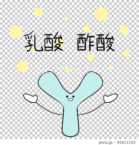 乳酸と酢酸を生成するビフィズス菌のイラスト 95813183