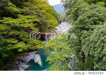 徳島県の観光地 大歩危の風景 祖谷のかずら橋 徳島県の観光地 大歩危の風景 祖谷のかずら橋 95813354