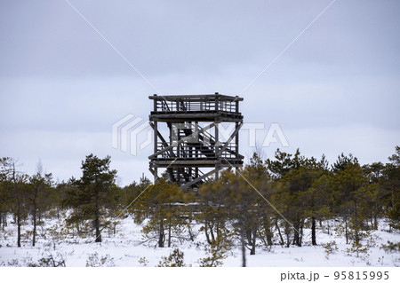 Bog hiking trail in Kemeri National Park 95815995