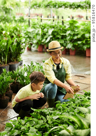 Mother showing plants in greenhouse to little son who visited her at work 95816470