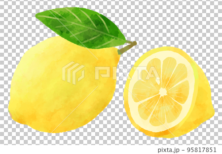 檸檬插畫手繪水彩風格 檸檬插畫手繪水彩風格 95817851