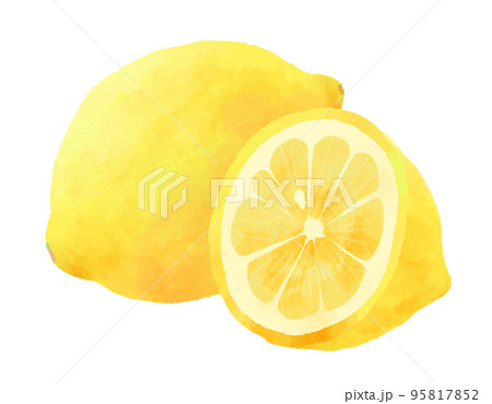 レモンのイラスト 手描き 水彩風 レモンのイラスト 手描き 水彩風 95817852