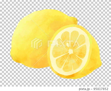 檸檬插畫手繪水彩風格 檸檬插畫手繪水彩風格 95817852