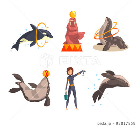 Oceanarium or Dolphinarium with Sea Animals and Trainers Performing Stunt Vector Set Oceanarium or Dolphinarium with Sea Animals and Trainers Performing Stunt Vector Set 95817859