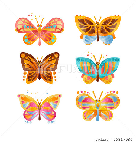Tropical Butterfly with Brightly Coloured Wings Vector Illustration Set Tropical Butterfly with Brightly Coloured Wings Vector Illustration Set 95817930