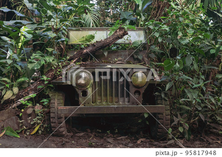 Abandoned old military SUV in the jungle Abandoned old military SUV in the jungle 95817948