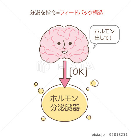 フィードバック構造 フィードバック構造 95818251