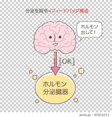 フィードバック構造 フィードバック構造 95818251