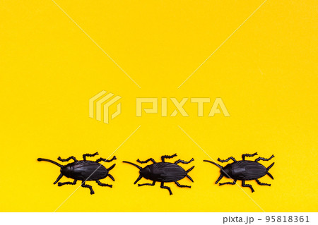 Black plastic cockroaches on a yellow cardboard background. Ready Halloween illustration. Copy space Black plastic cockroaches on a yellow cardboard background. Ready Halloween illustration. Copy space 95818361