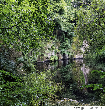 Lake in Kennall Vale Nature Reserve, Ponsanooth, Cornwall, United Kingdom 95819594