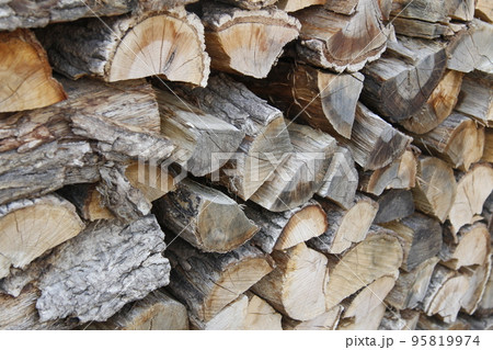 丸太 樹木 樹皮 95819974