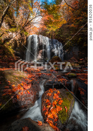 福島県猪苗代町　紅葉の達沢不動滝 95820036