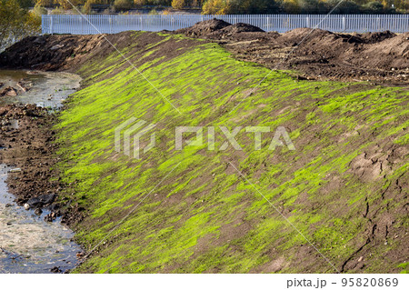 Strengthening the river bank with a geogrid with sowing a liquid lawn 95820869