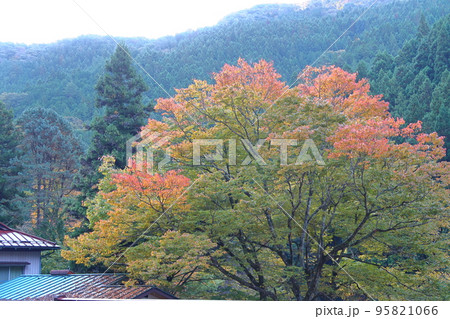 登竜橋の景観 登竜橋の景観 95821066