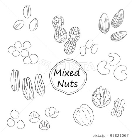 ナッツのイラストセット モノクロ線画 文字なし ナッツのイラストセット モノクロ線画 文字なし 95821067