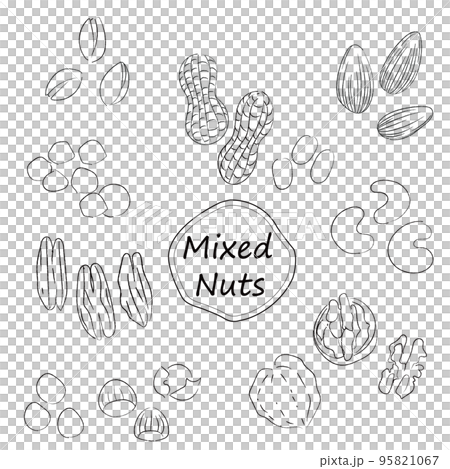 ナッツのイラストセット モノクロ線画 文字なし ナッツのイラストセット モノクロ線画 文字なし 95821067