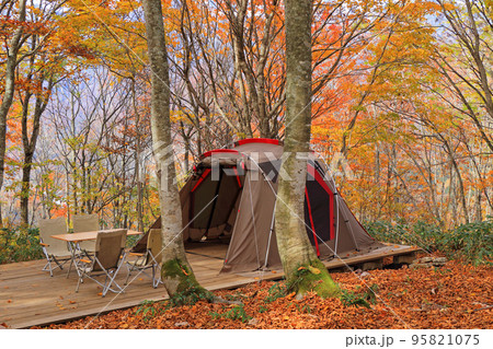 秋の白馬岩岳マウンテンリゾート　山頂の森 95821075