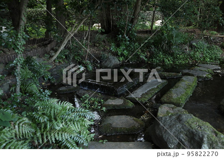 東京 井の頭公園 お茶の水 95822270