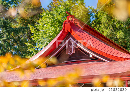 金蛇水神社 紅葉 破風飾り 雲形鬼 主棟鬼 金蛇水神社 紅葉 破風飾り 雲形鬼 主棟鬼 95822829