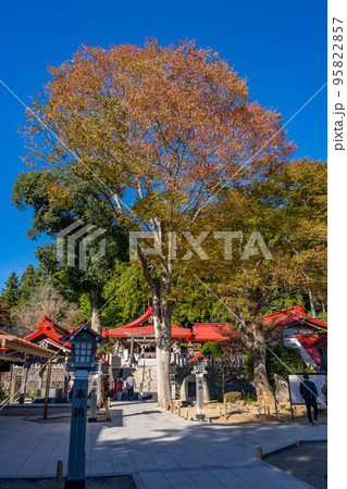 金蛇水神社 金蛇水神社 95822857