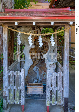 金蛇水神社 金蛇弁財天社 御神木 金蛇水神社 金蛇弁財天社 御神木 95822862