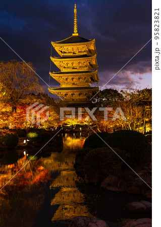 古都京都の秋　世界遺産　東寺　紅葉ライトアップ　五重塔 95823821