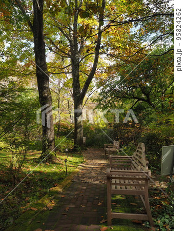 紅葉 紅葉 95824262