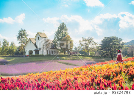 青空のもとお花畑で赤ずきんちゃんの格好をしている女性 95824798