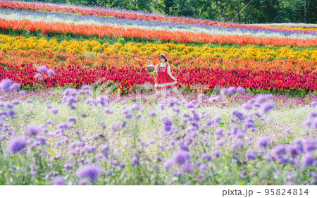 お花畑と赤ずきんちゃんの仮装した女性 95824814