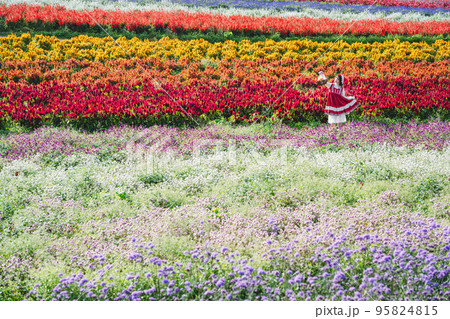お花畑と赤ずきんちゃんの仮装した女性 95824815