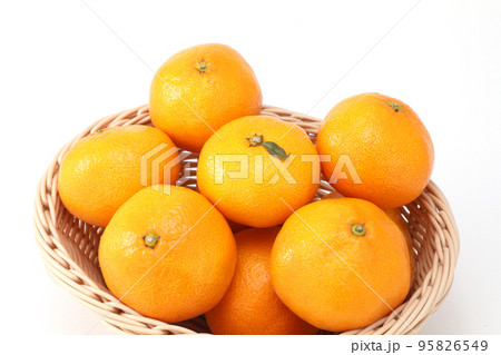 みかん みかん 95826549