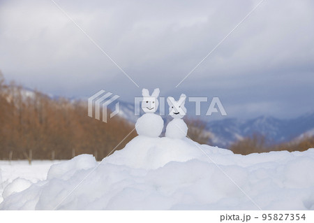 雪うさぎ 95827354