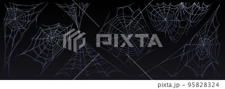 Spider web Halloween set, cobweb spooky insect net Spider web Halloween set, cobweb spooky insect net 95828324