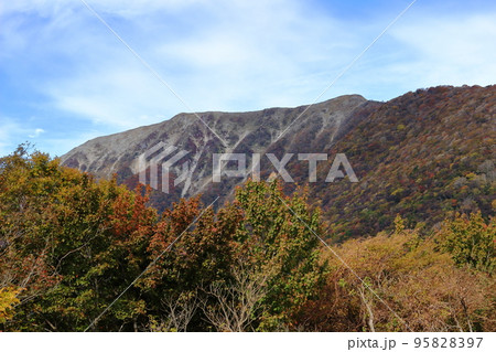 天気に恵まれた秋の日の伊吹山の山頂付近の姿 95828397