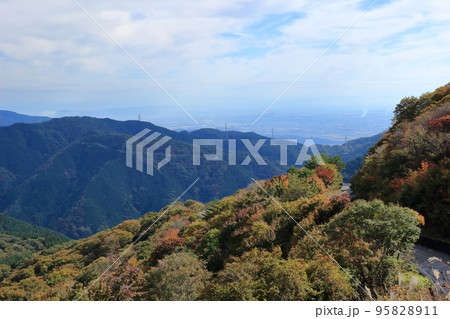 伊吹山ドライブウェイの紅葉 伊吹山ドライブウェイの紅葉 95828911
