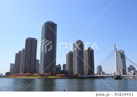 水上バスから眺める永代橋と石川島公園・リバーシティ 95829451