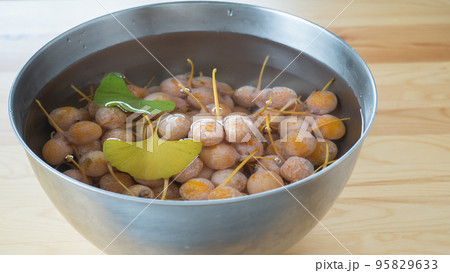 銀杏の実を水に浸す・洗う 銀杏の実を水に浸す・洗う 95829633