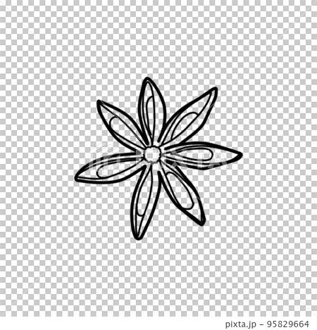 Hand drawn sketch of anis spice. Line drawing. Single element for logo, starionery, label and packaging. Doodle illustration isolated on white. For receipt and cooking design. Hand drawn sketch of anis spice. Line drawing. Single element for logo, starionery, label and packaging. Doodle illustration isolated on white. For receipt and cooking design. 95829664