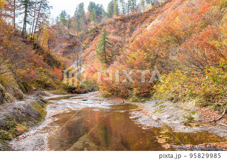 紅葉の桃洞渓谷をハイキング　秋田県 95829985